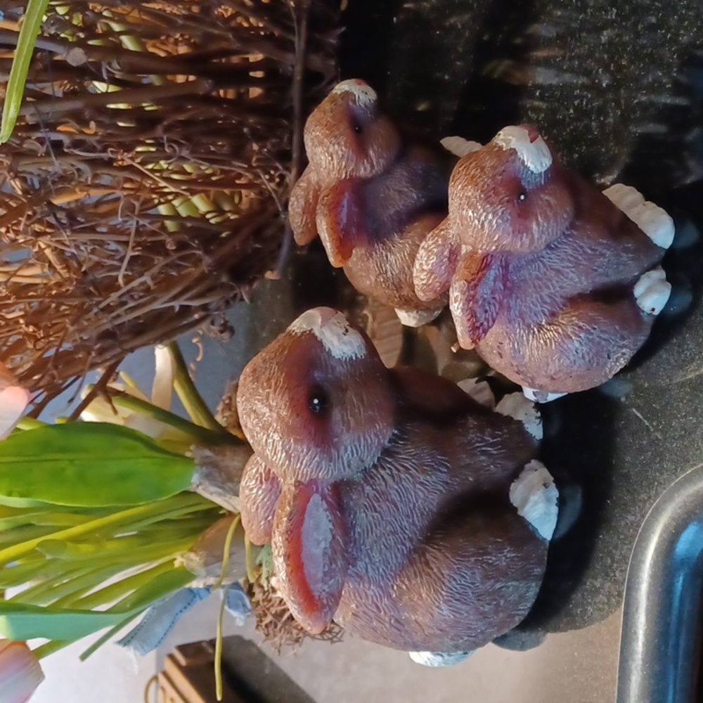 Pottery Barn Bunny candles (3)